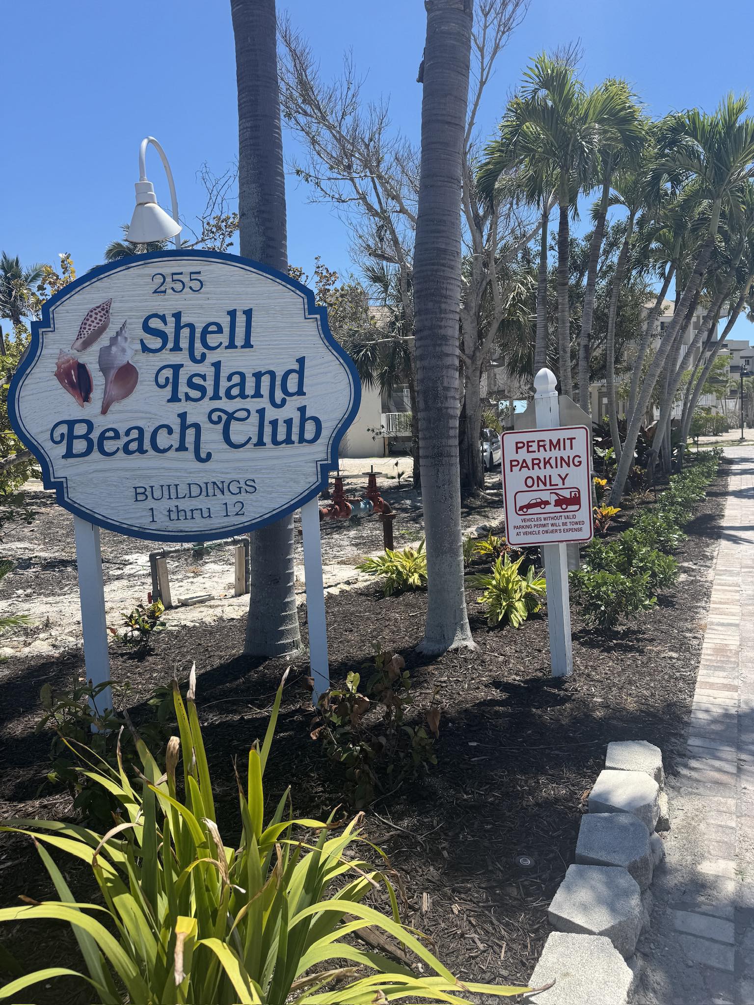 Sanibel Shells - Welcome to Shell Island! Happy Friday!! | Facebook