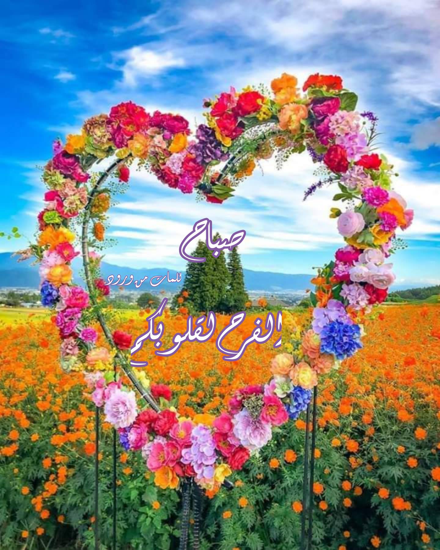 كلمات من ورود - أسأل من أجرى نسيم الصباح و جعل المحبة... | Facebook