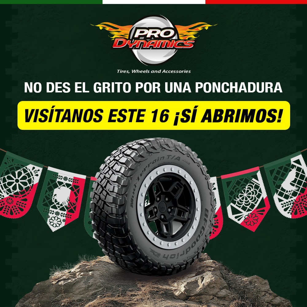 Prodynamics Cancún