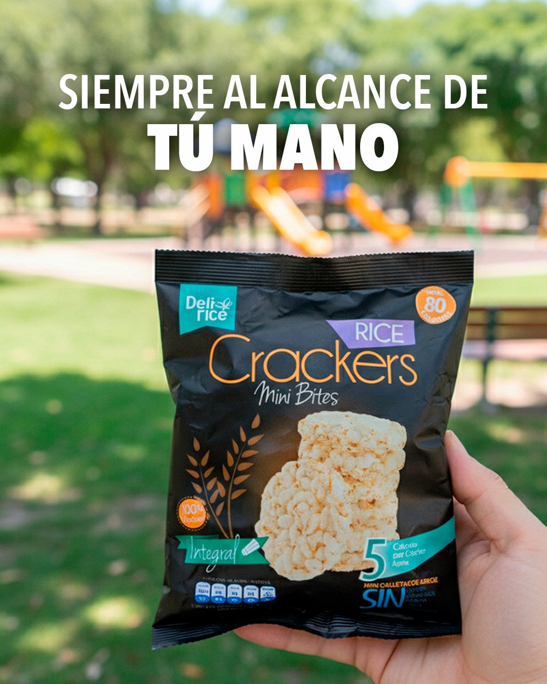 Delirice Galletas de Arroz