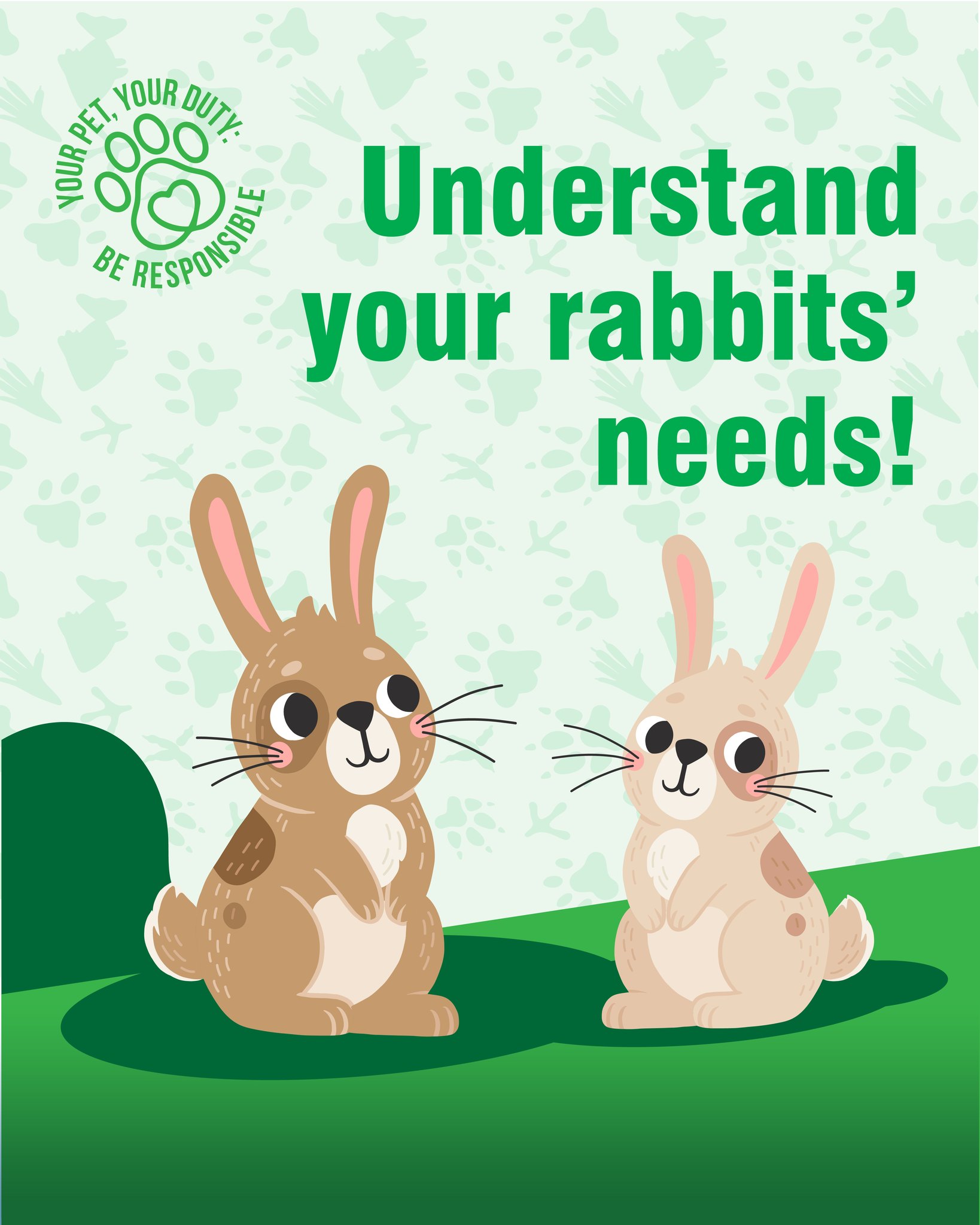 Antrim - Rabbits may be considered a ‘low maintenance’ pet, but this ...