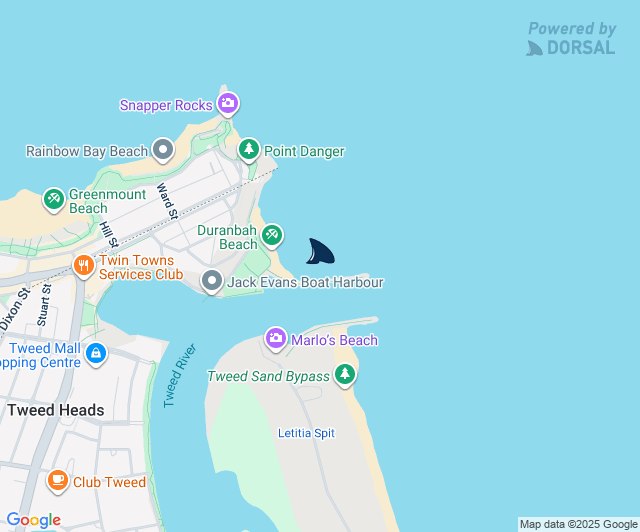 Public Shark Report:... - Dorsal Shark Reports - Australia | Facebook