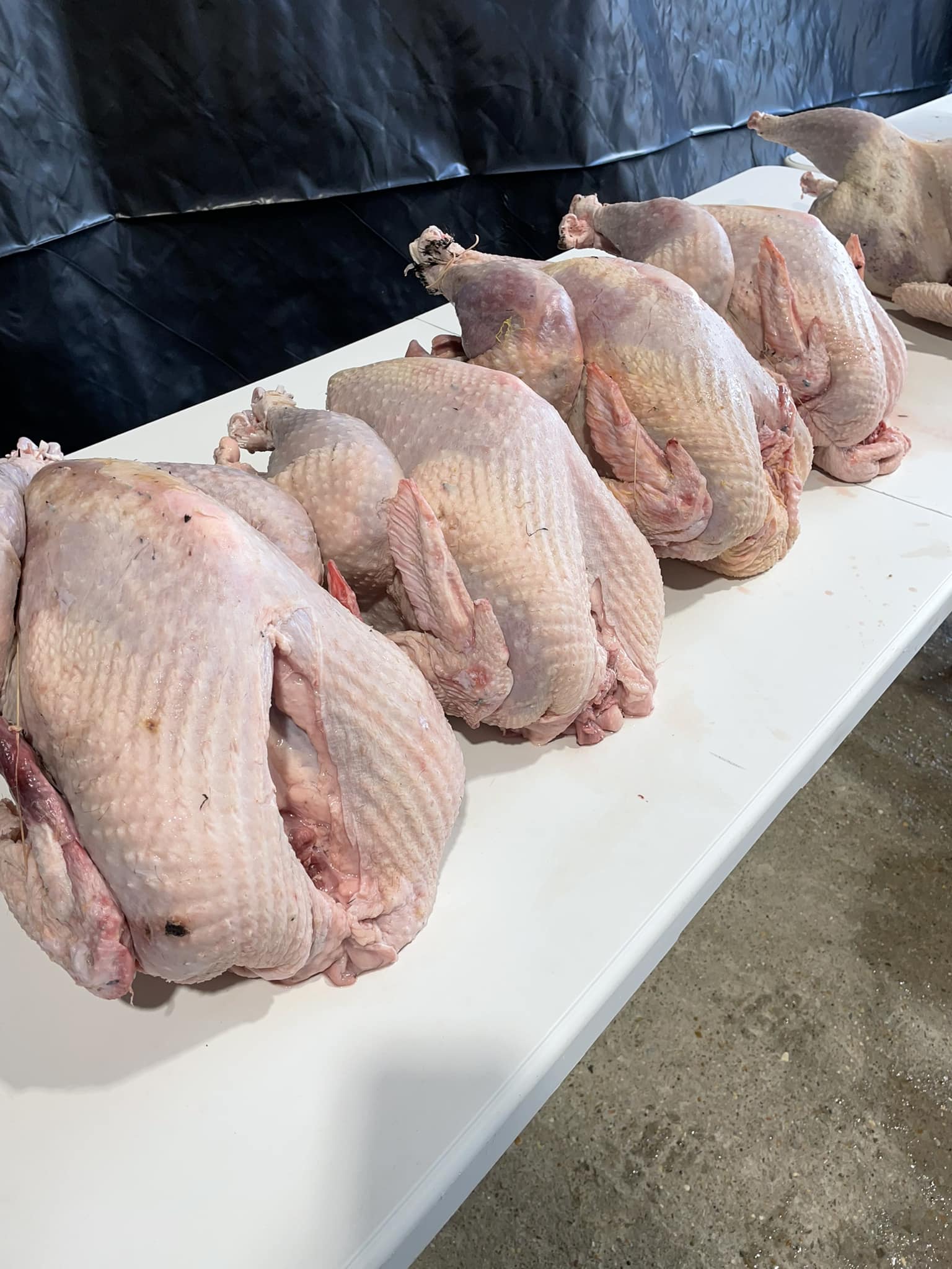 Stones Throw Farm | Arundel