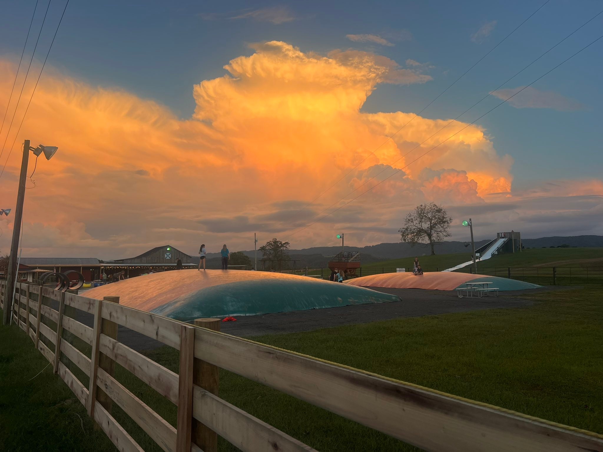 Arrow B Ranch, LLC | Jonesville VA