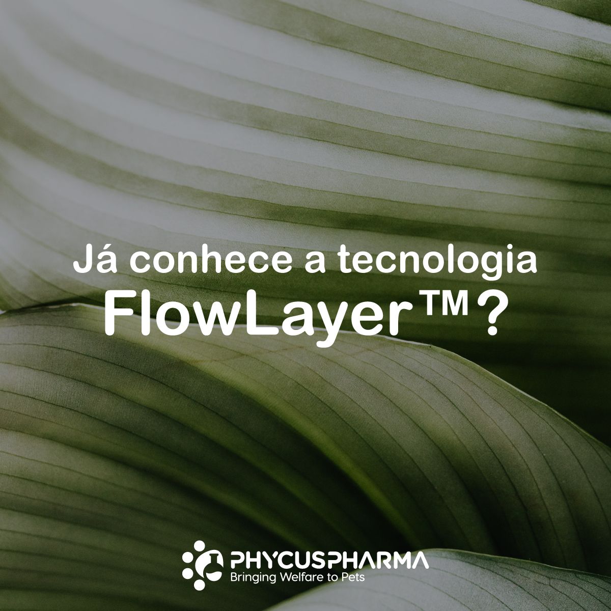 Phycus Pharma - FlowLayer ™, é uma tecnologia que permite... | Facebook