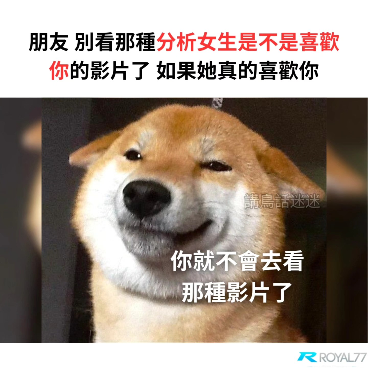 讲鸟话迷迷 Bird Talk Meme - bro 不要自己看自己爽 . IG: birdtalkmeme . . #梗 #梗圖 #梗图 ...