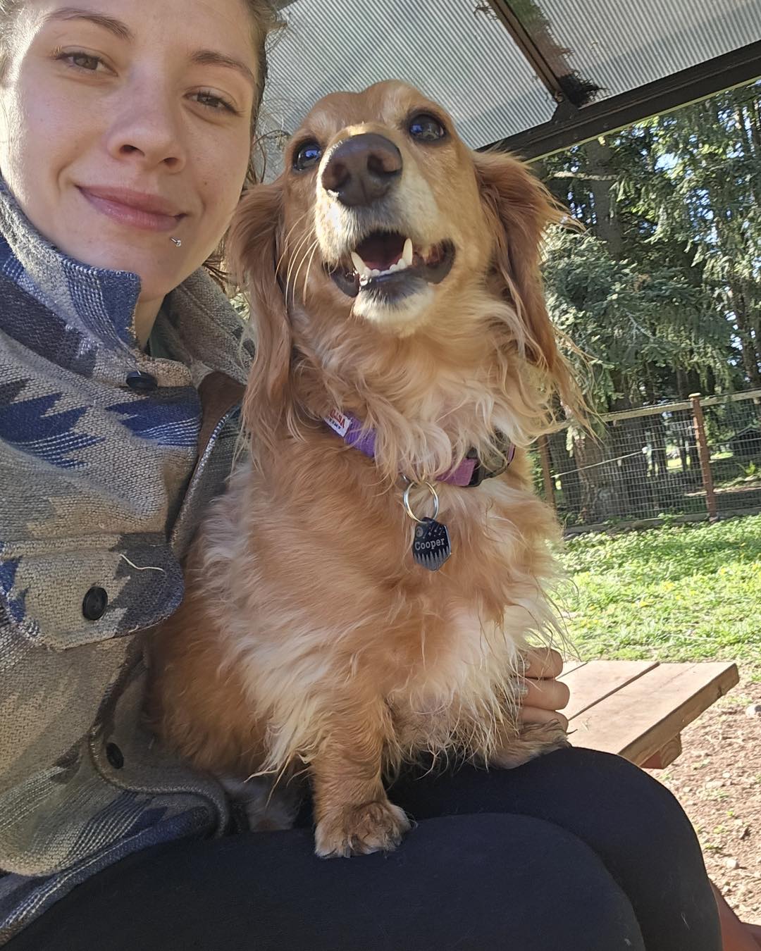 Emily's Woof Pack LLC added a new... - Emily's Woof Pack LLC