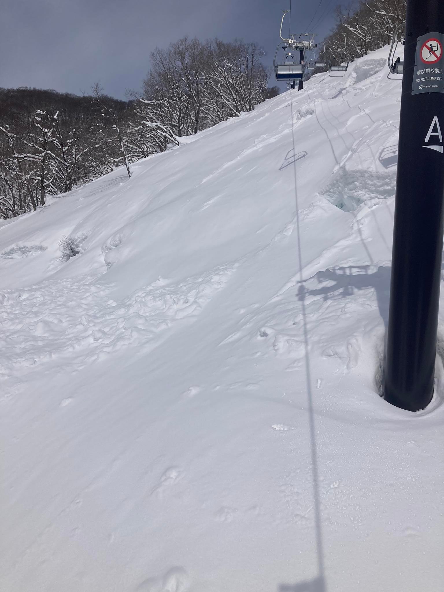 白馬乗鞍温泉スキー場 はくのり - おはようございます。 パウダーデイ(パウダー祭り！)のはくのりです。 膝まで積もった雪は少し重いものの ...