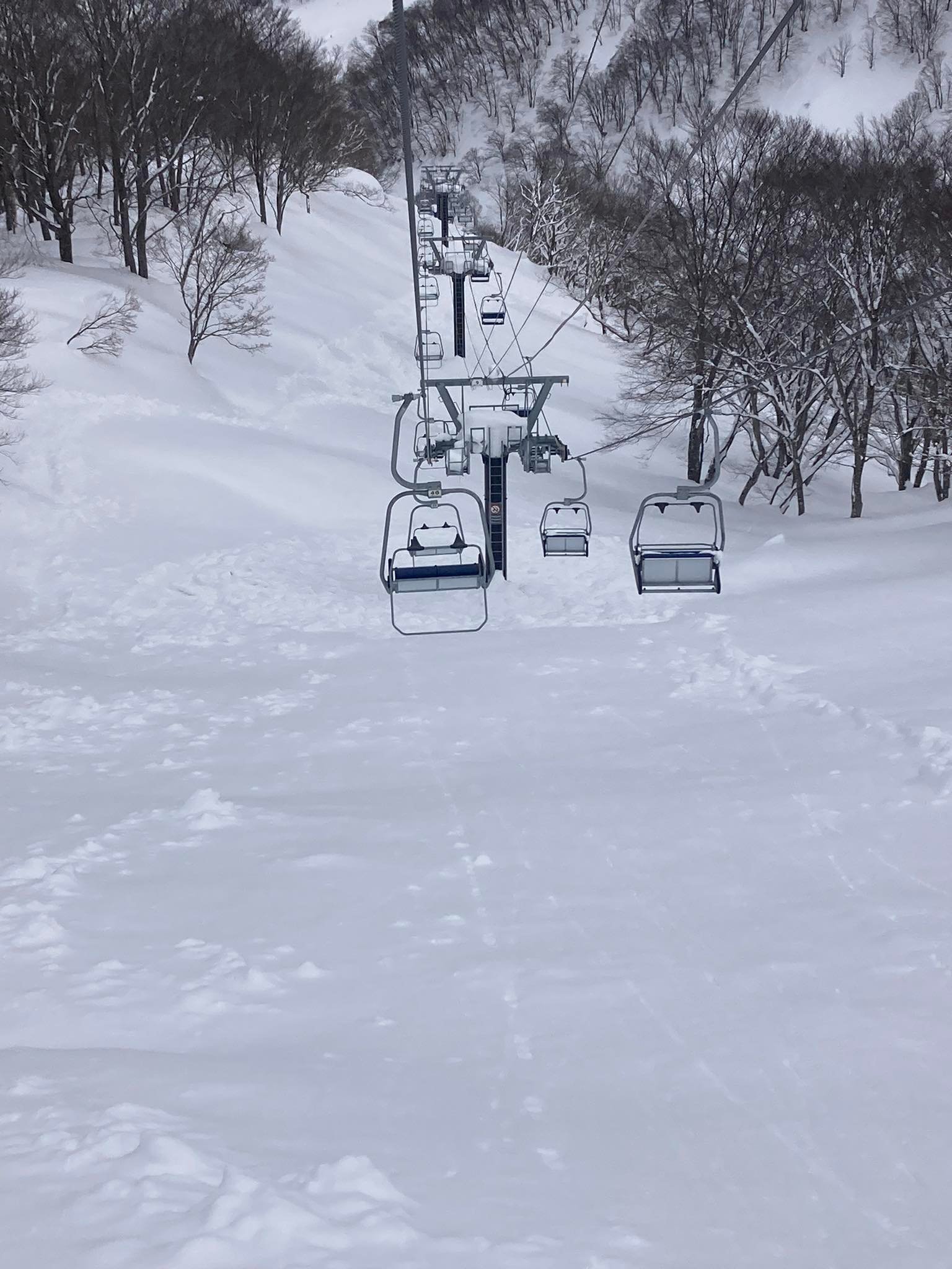 白馬乗鞍温泉スキー場 はくのり - おはようございます。 パウダーデイ(パウダー祭り！)のはくのりです。 膝まで積もった雪は少し重いものの ...