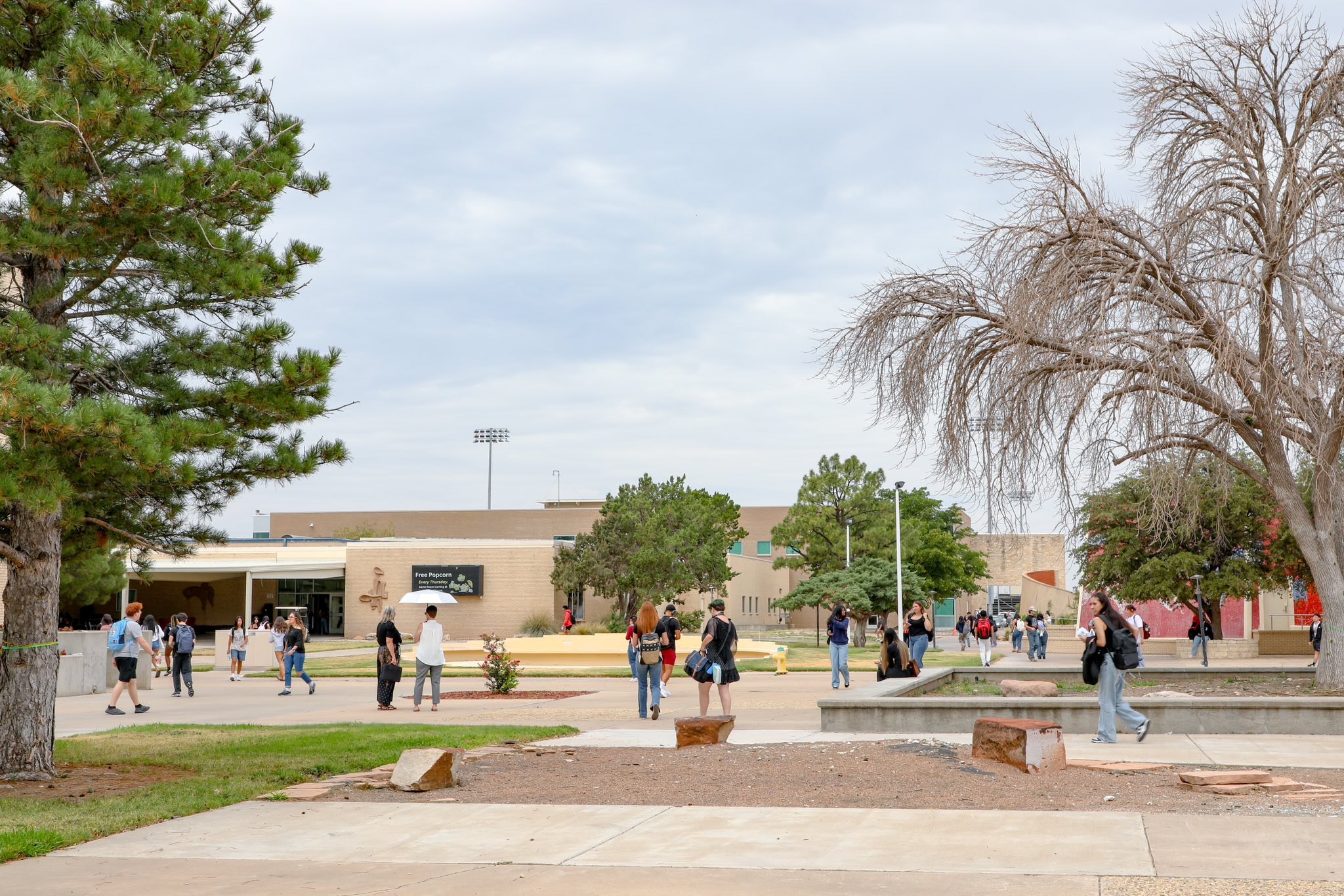 New Mexico Junior College... - New Mexico Junior College