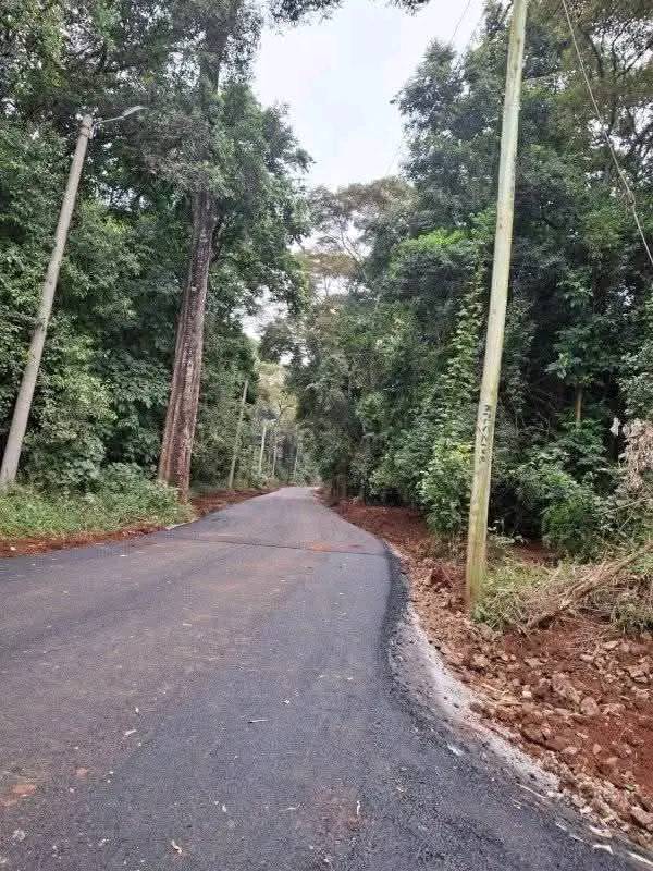 DMK - According to your own understanding, why did they tarmac Karura ...