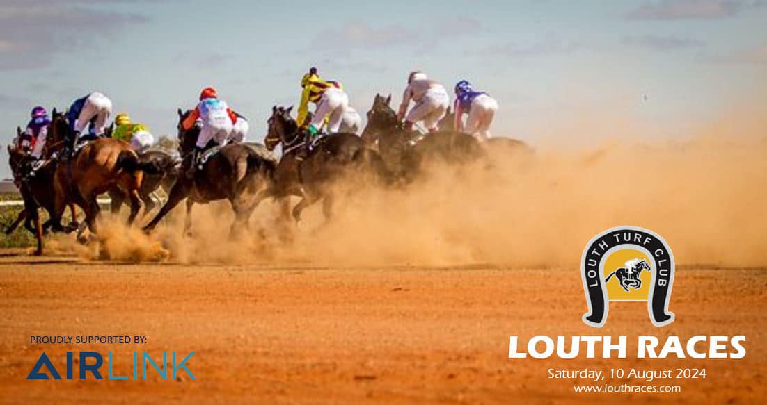 Air Link - 🐎 🐎 Air Link Supports Louth Races 🐎 🐎 The... | Facebook