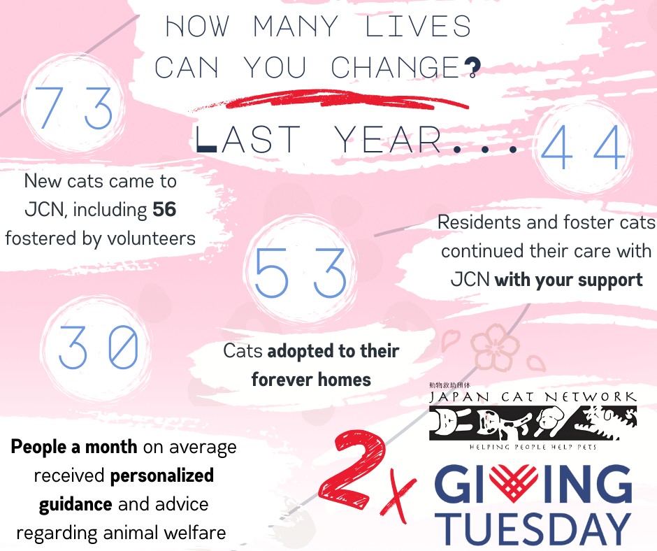 Japan Cat Network