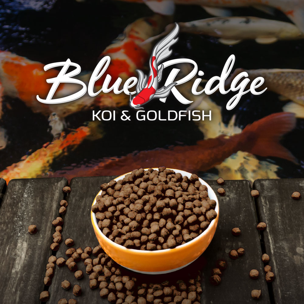 Blue - Have you heard about our early buy program? Blue Ridge #Koi ...