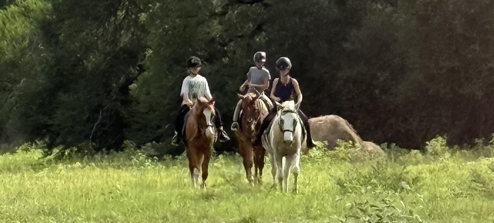 Franklin Farms | Stratton TX
