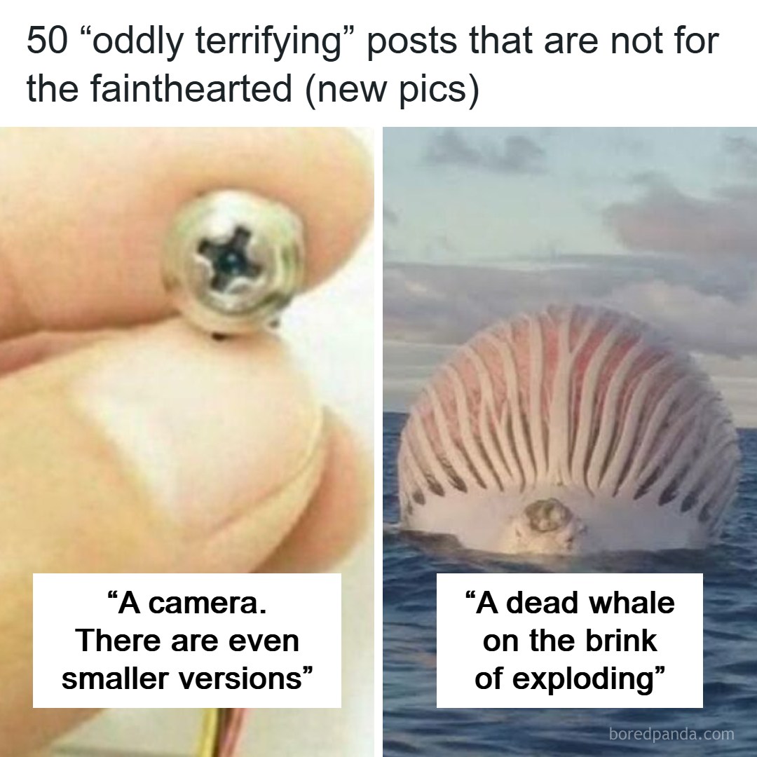 Bored - 50 “oddly terrifying” posts that are not for the fainthearted ...