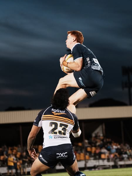 Narrabri Rugby Blue Boars... - Narrabri Rugby Blue Boars