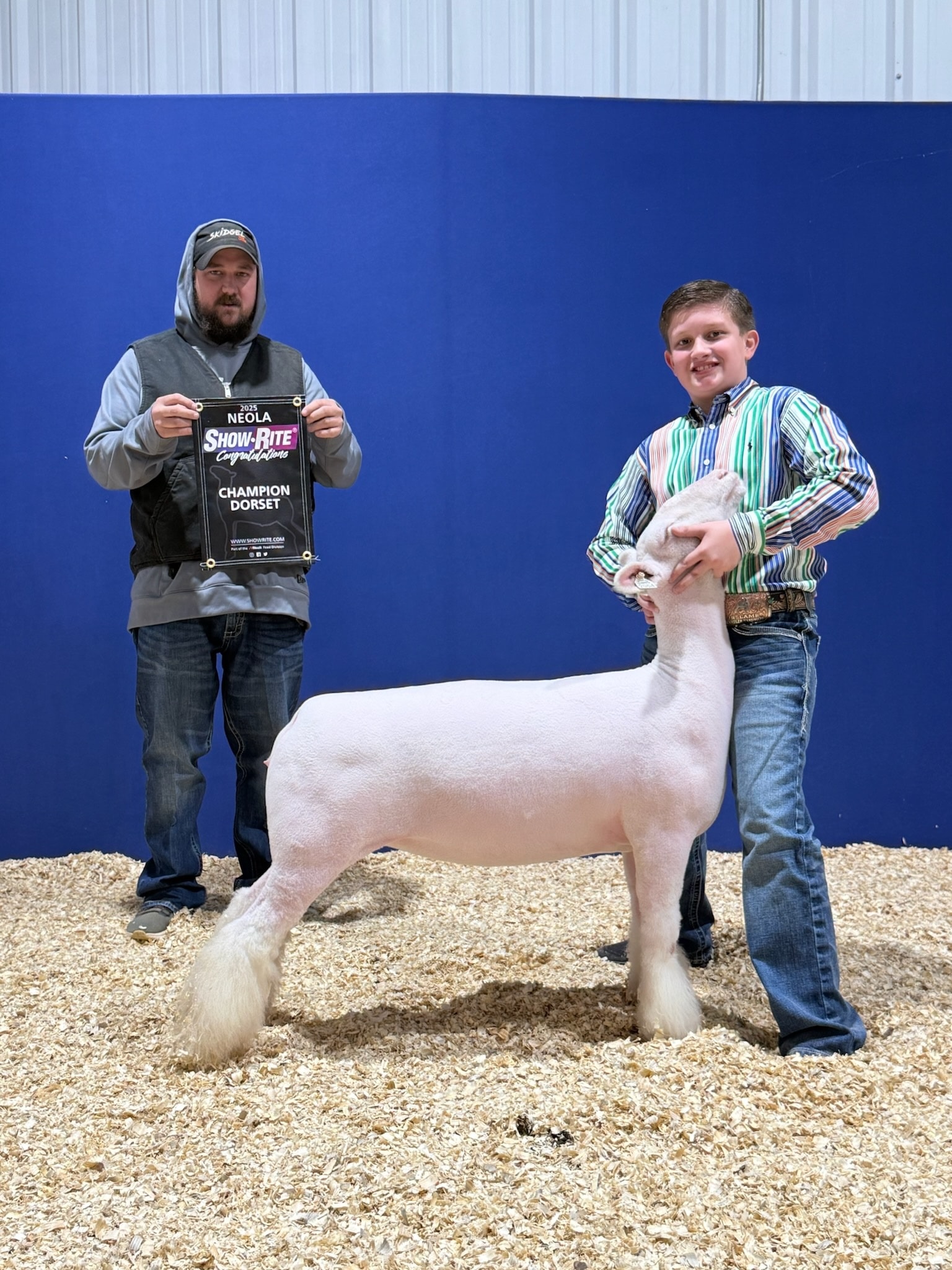 Nichols - Congratulations Mark Raper Jr! Champion Dorset NEOLA Sired by ...