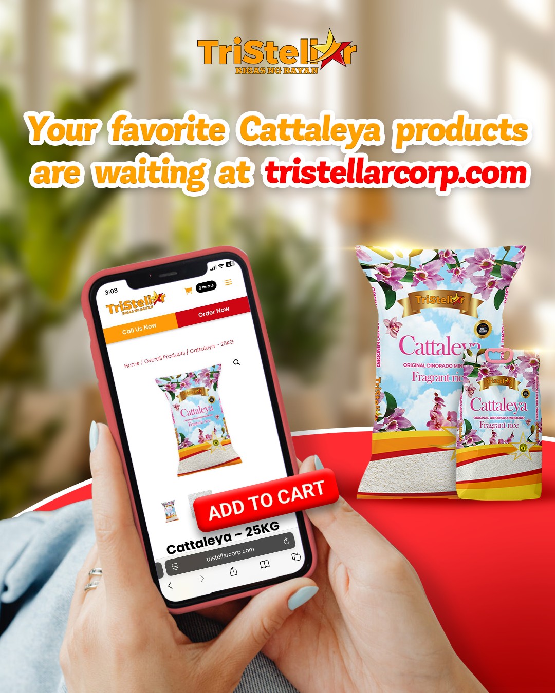 Tristellar Trading... - Tristellar Trading Corporation