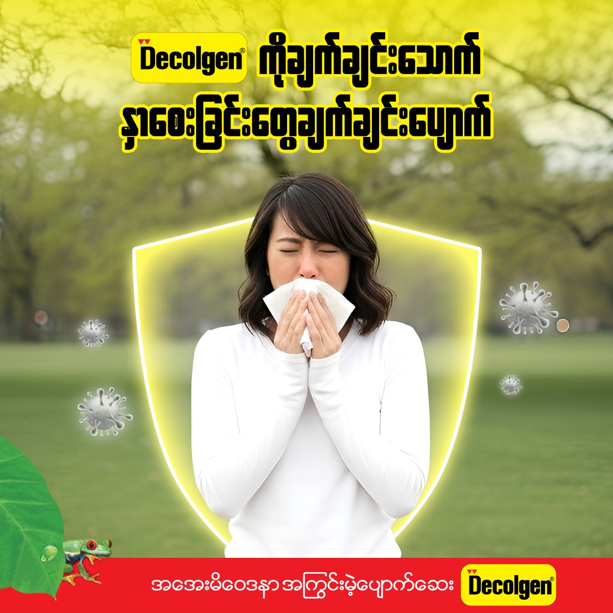 Decolgen Myanmar