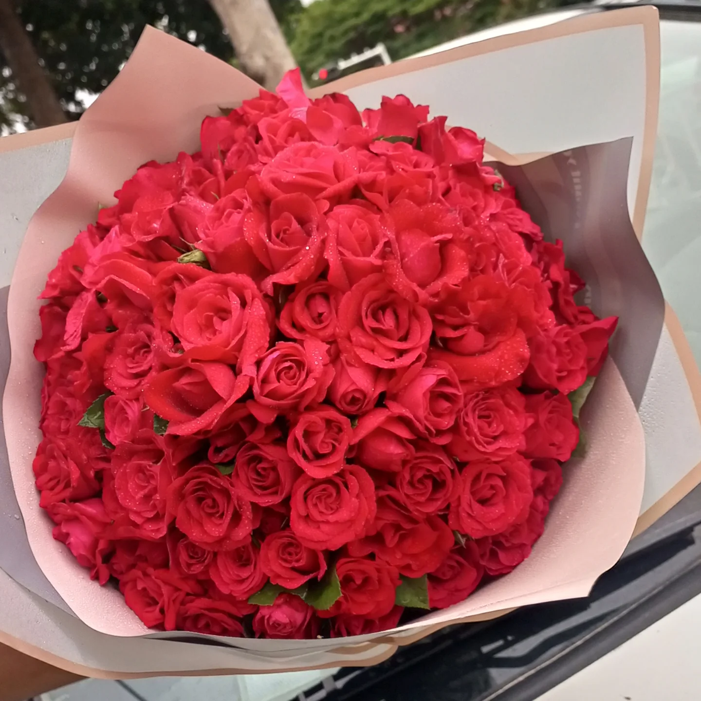 Jardin - Bouquet de roses rouges à Lomé. Merci pour vos retours de ...