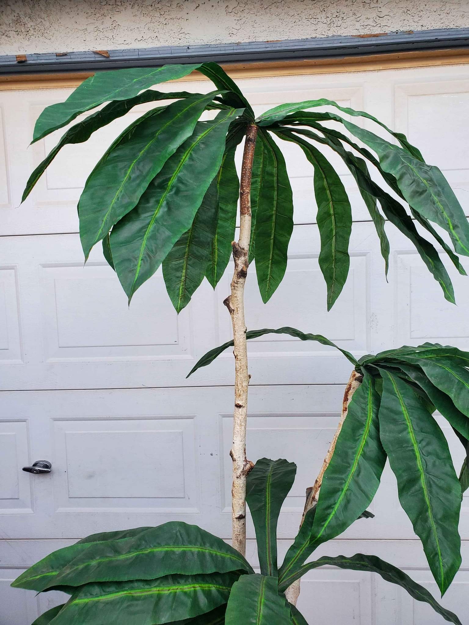 6 FOOT TALL FAKE PALM TREE Artificial Plants & Flowers Las Vegas