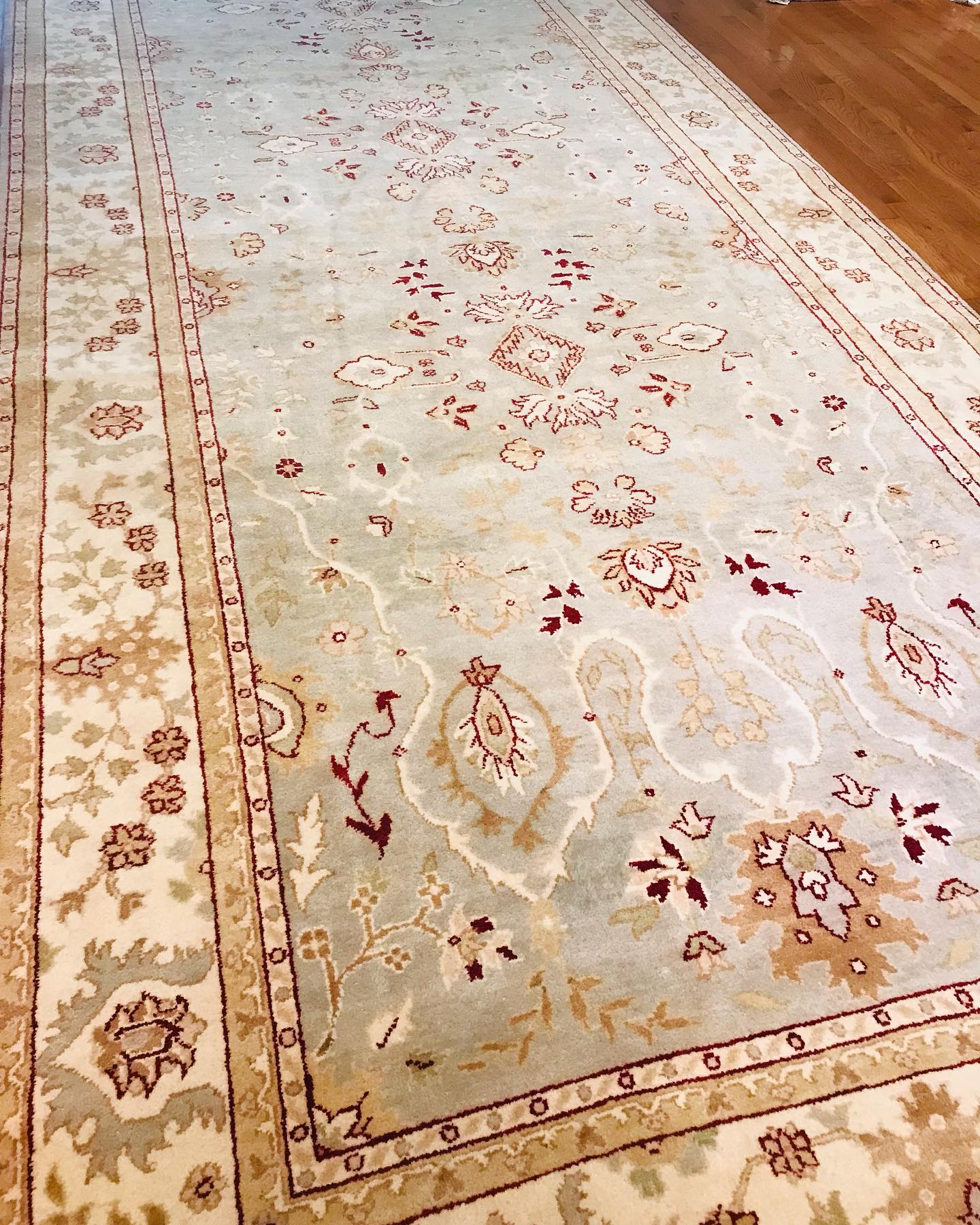 Surena Rugs | Atlanta GA