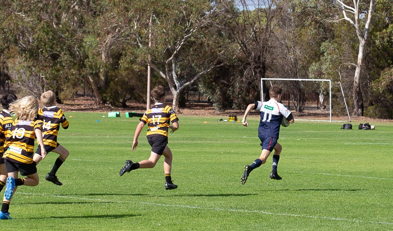 Elizabeth Rugby... - Elizabeth Rugby Union Football Club