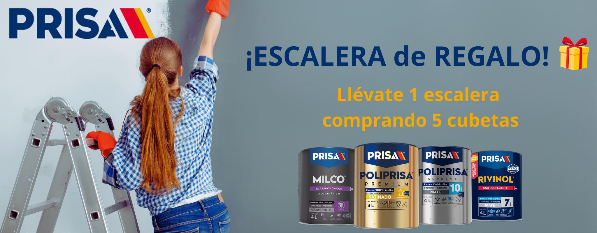 Pinturas Prisa Puerto Vallarta 