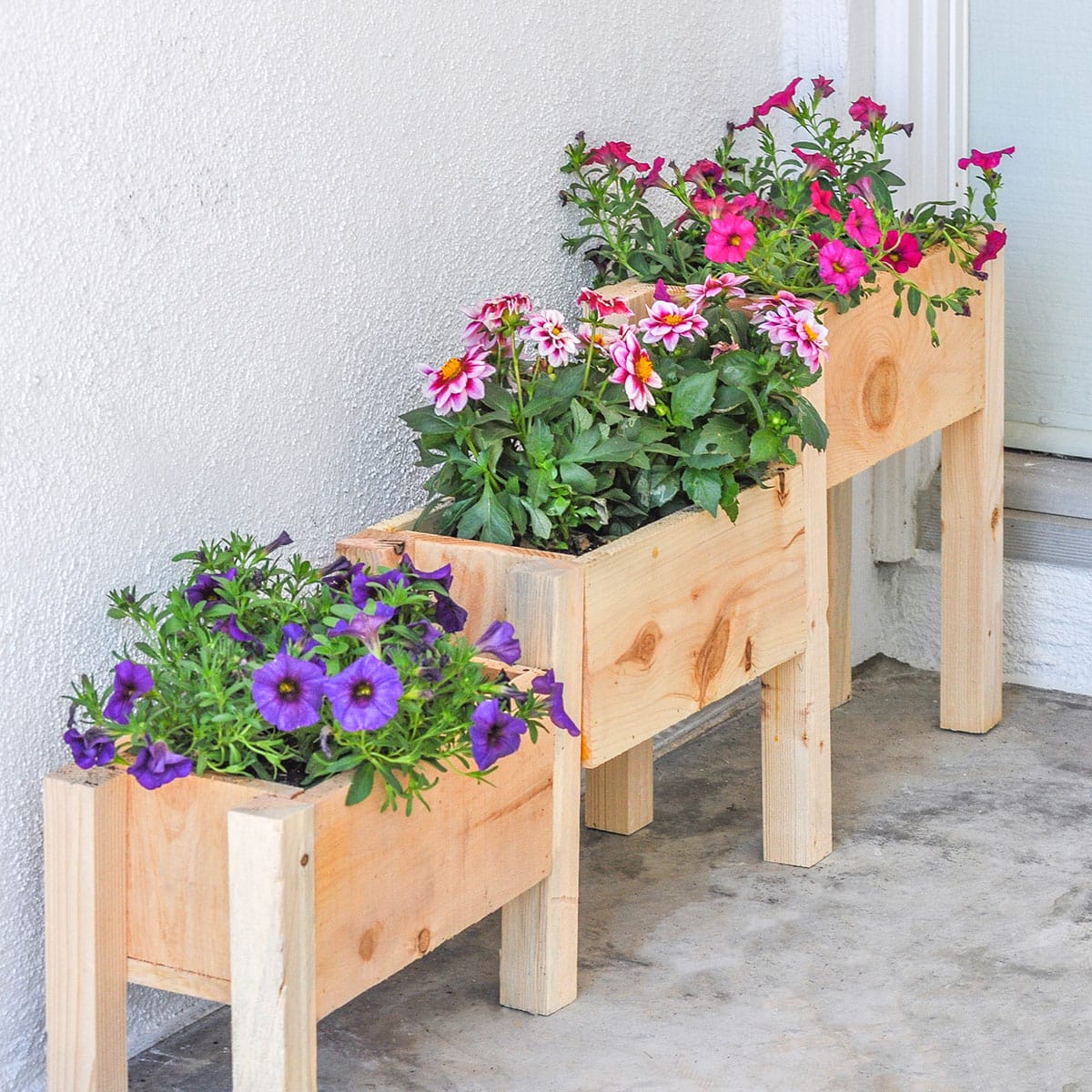 The DIY - Learn how to build an easy tiered planter box with only $10 ...