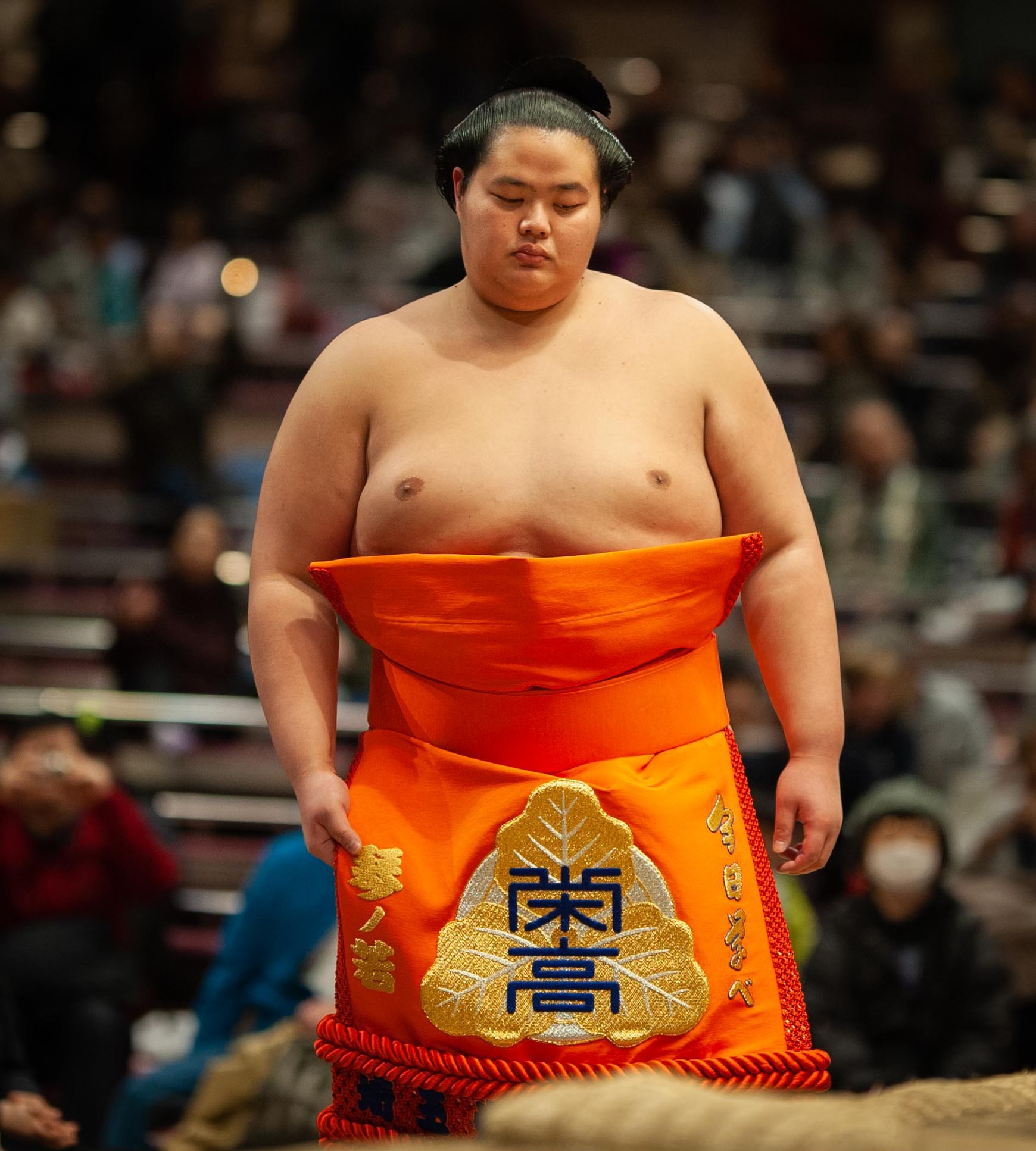 how much does a sumo wrestler make