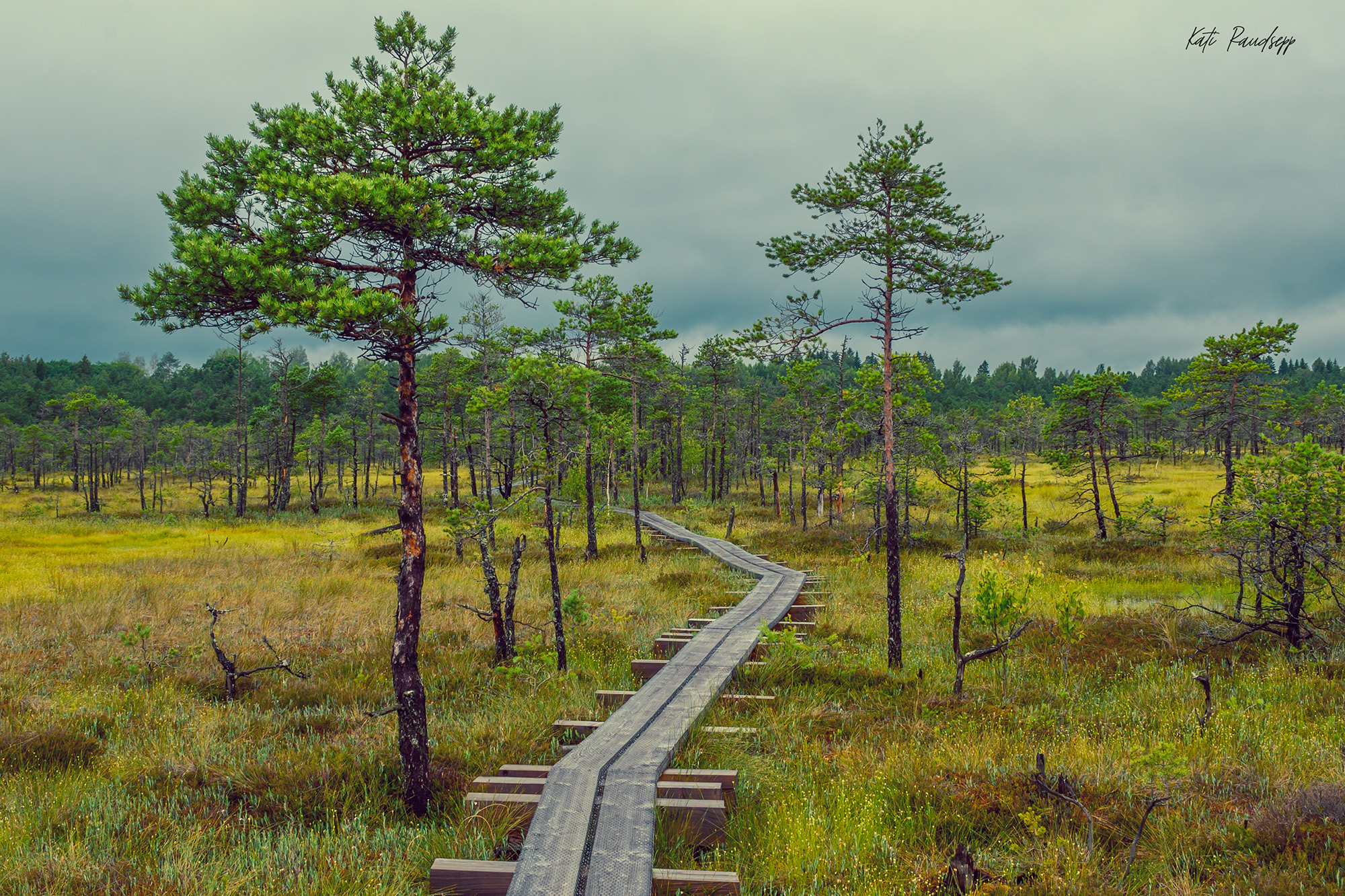 Kati Raudsepp Fotoleht added a... - Kati Raudsepp Fotoleht