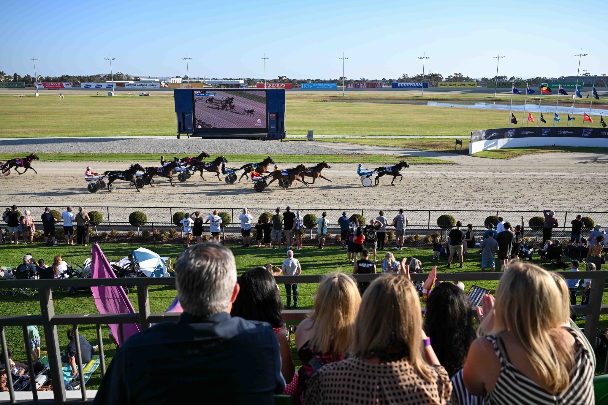 Harness Racing Victoria - A big night of racing from Melton is about to ...