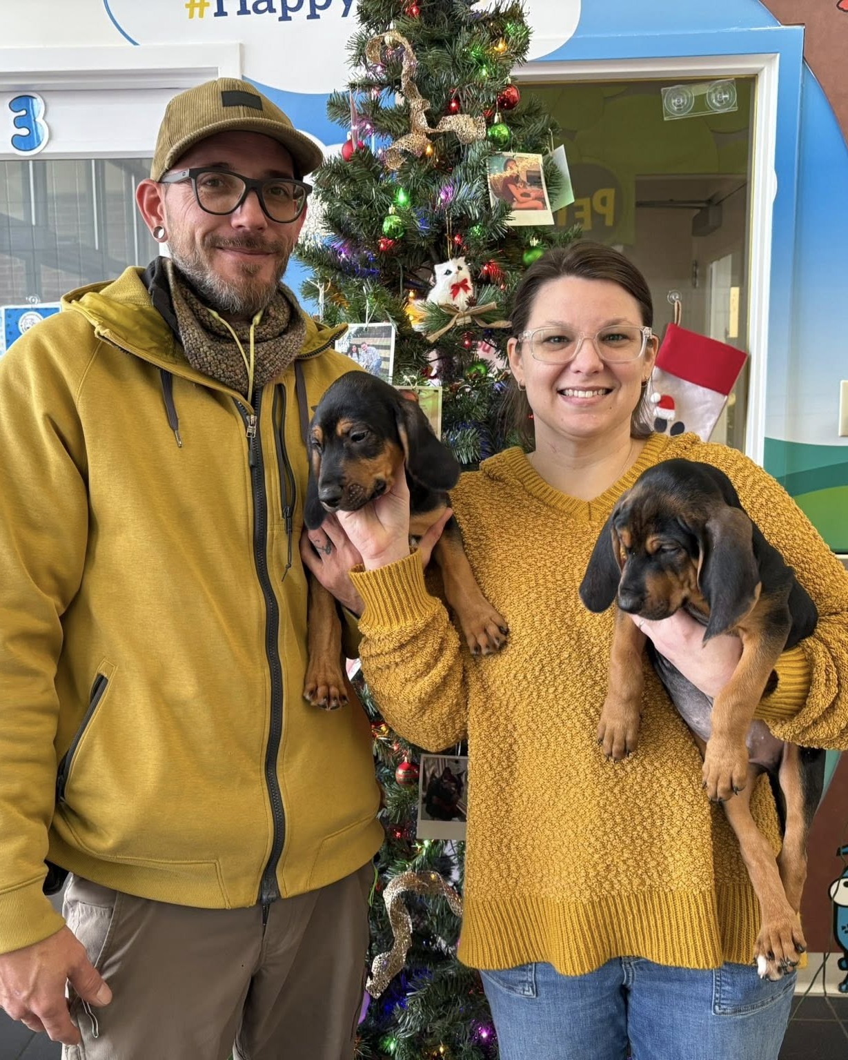 Nashville Humane... - Nashville Humane Association