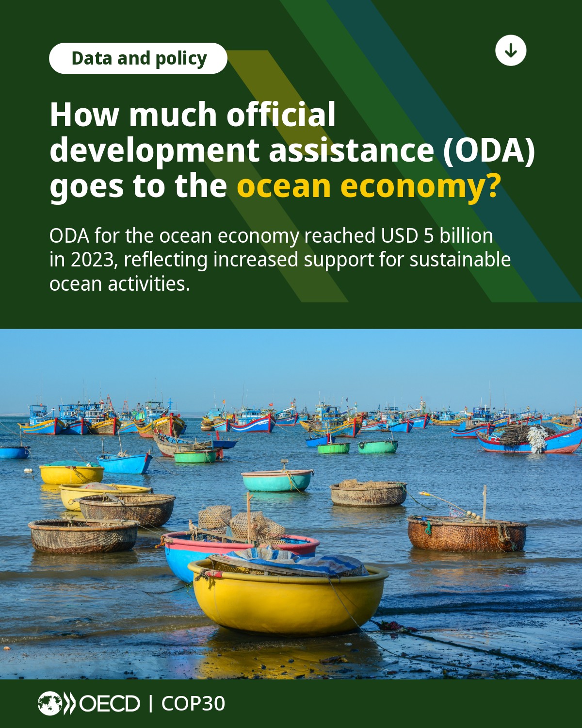 The ocean is the backbone of many... - OECD Development | Facebook