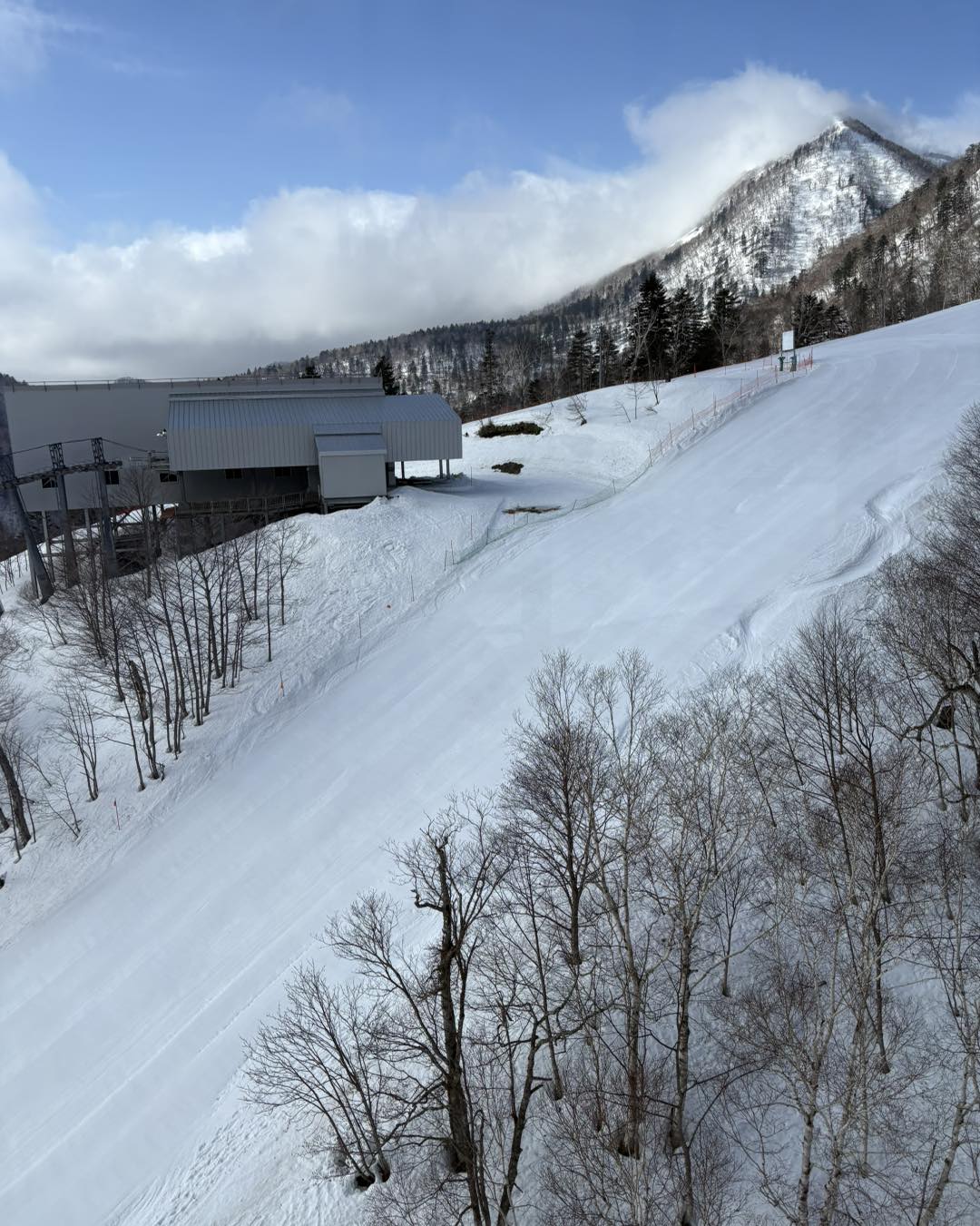 富良野 スキー 場