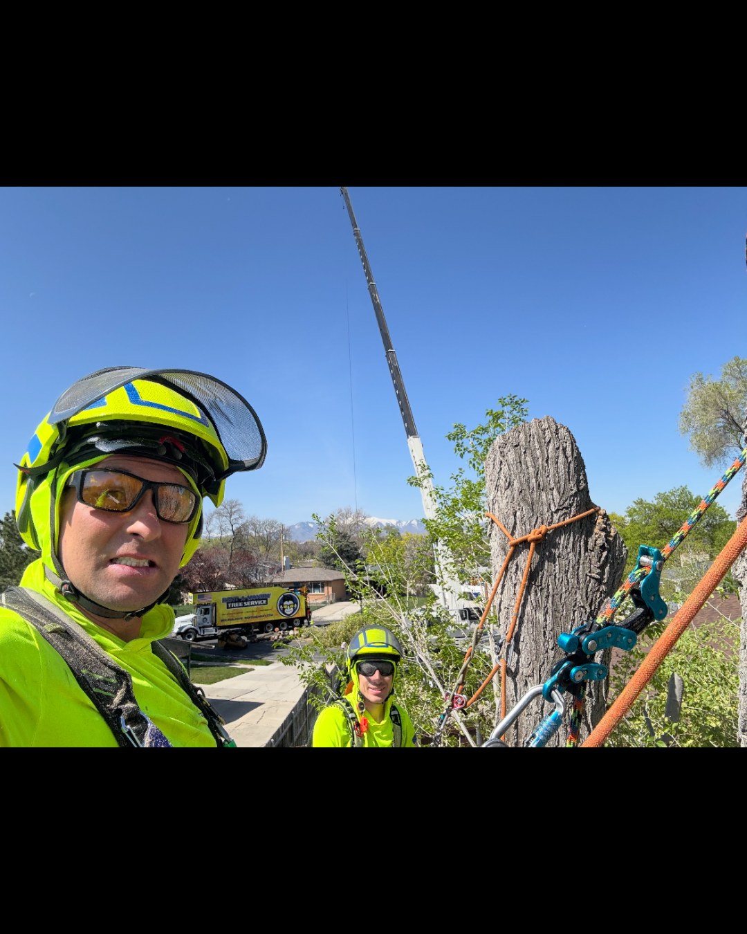 Rent A Monkey Tree Service