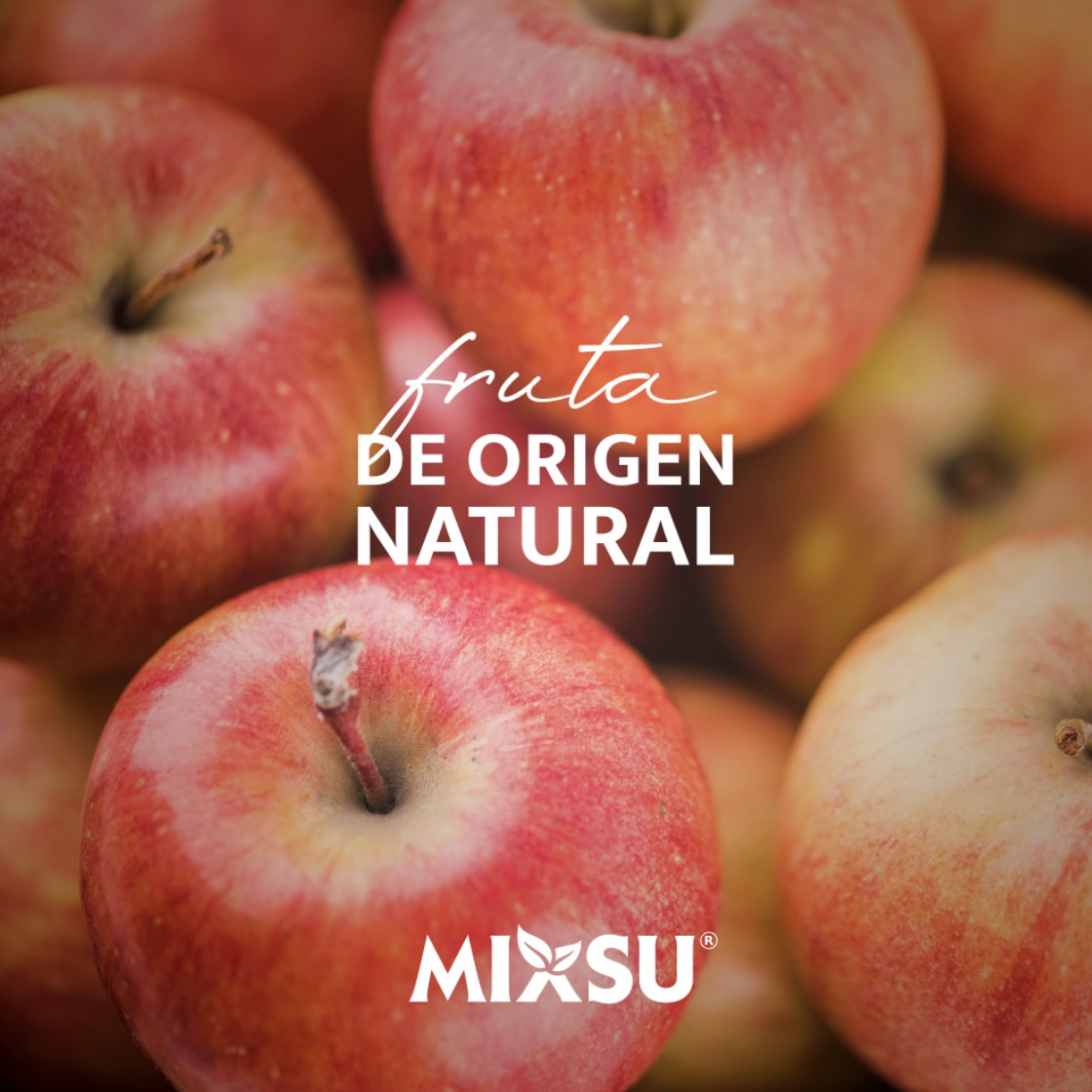 MIXSU - ¿Sabias que en todos nuestros productos utilizamos...
