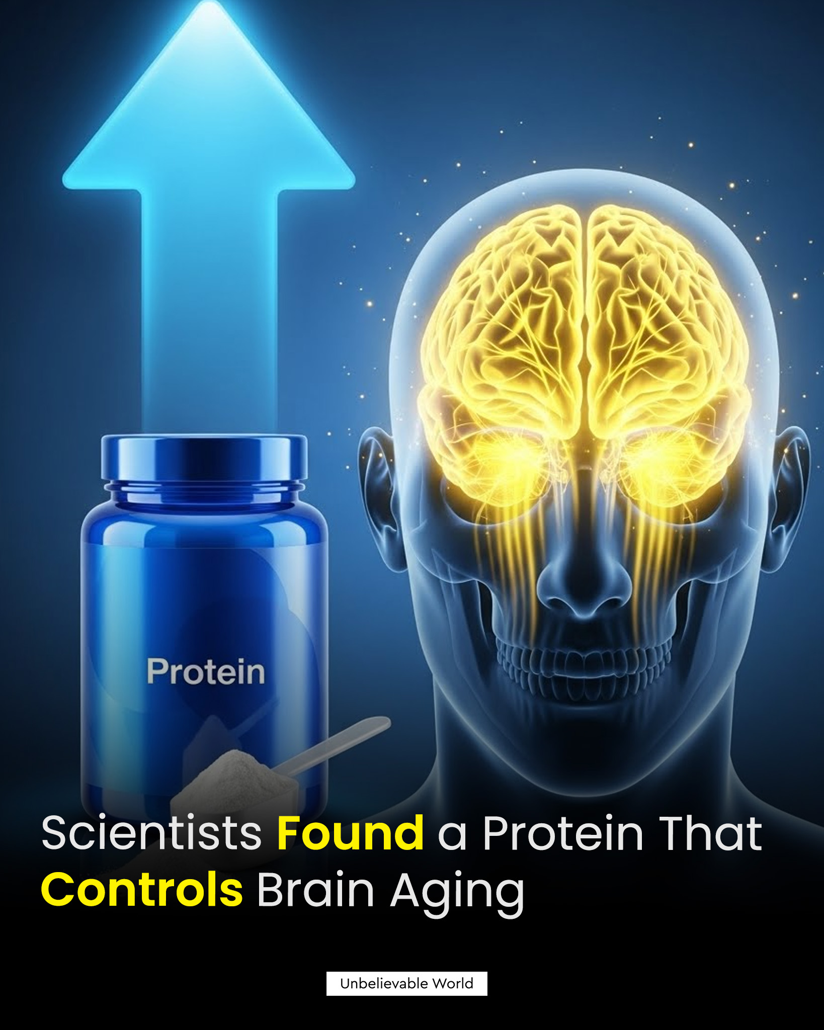 Unbelievable - Scientists have identified a key protein that plays a ...