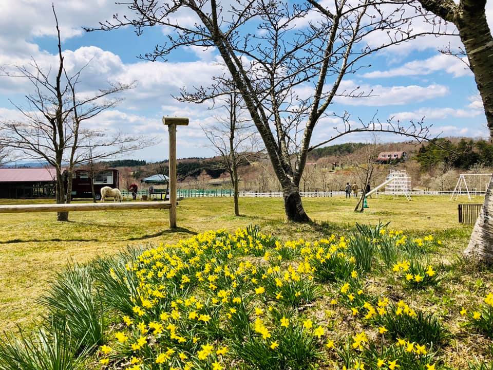 館ヶ森アーク牧場 13日の土曜日からたまご拾いが始まりました キッチンカーも出動です Facebook