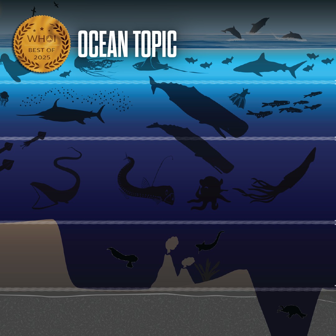 Woods - 🌊We're your first stop for ocean knowledge! This year, millions ...