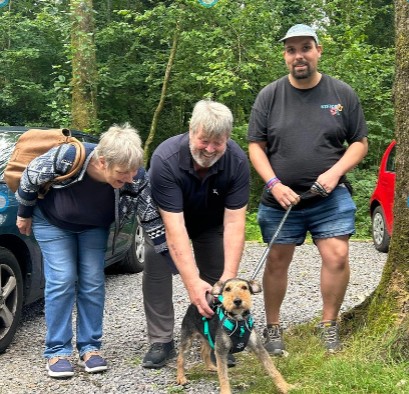 Hope Rescue - 🏡 ADOPTION ROUNDUP! 🏡⁠ ⁠ It's time to... | Facebook