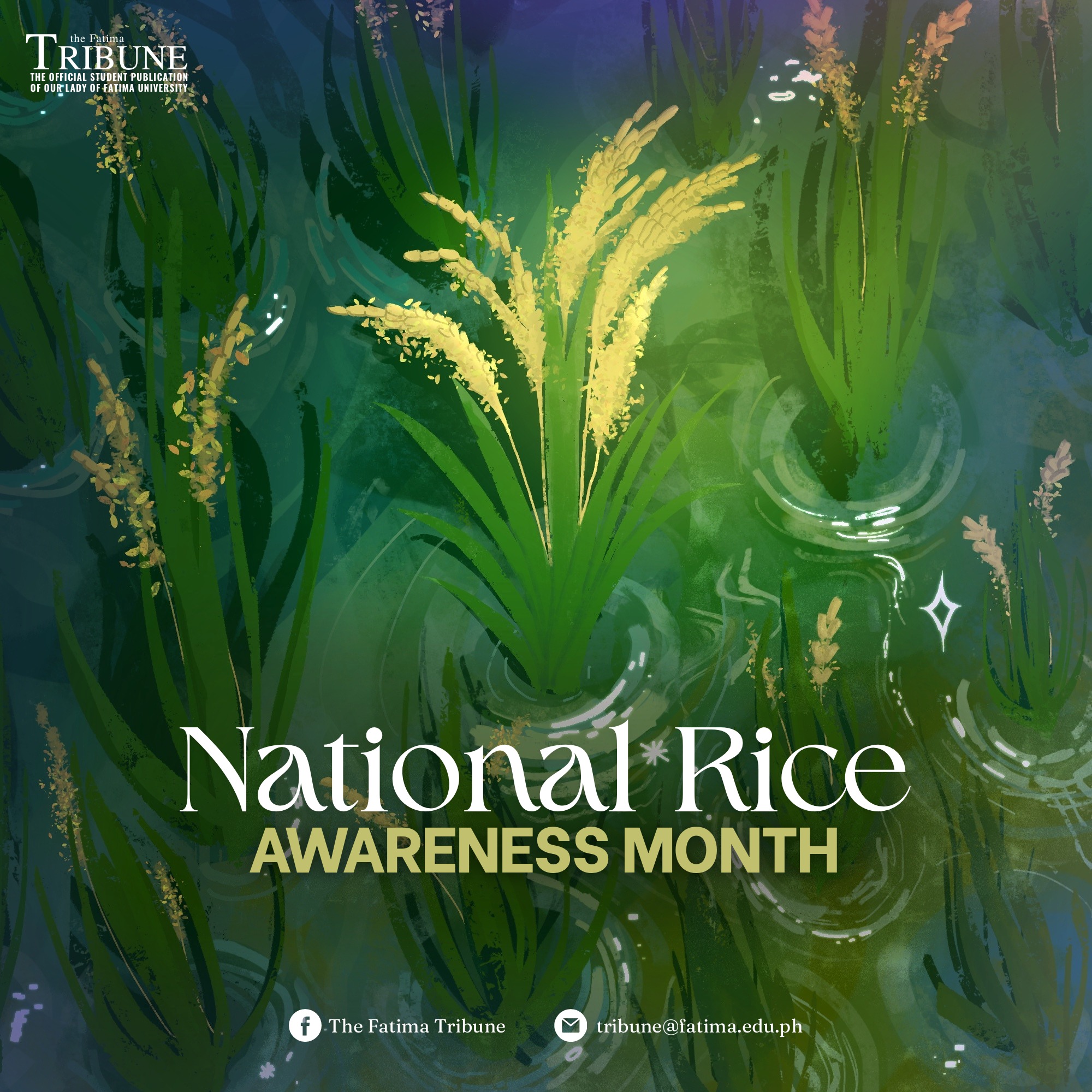 The Fatima - Not just a slogan, but a reminder that rice is the ...