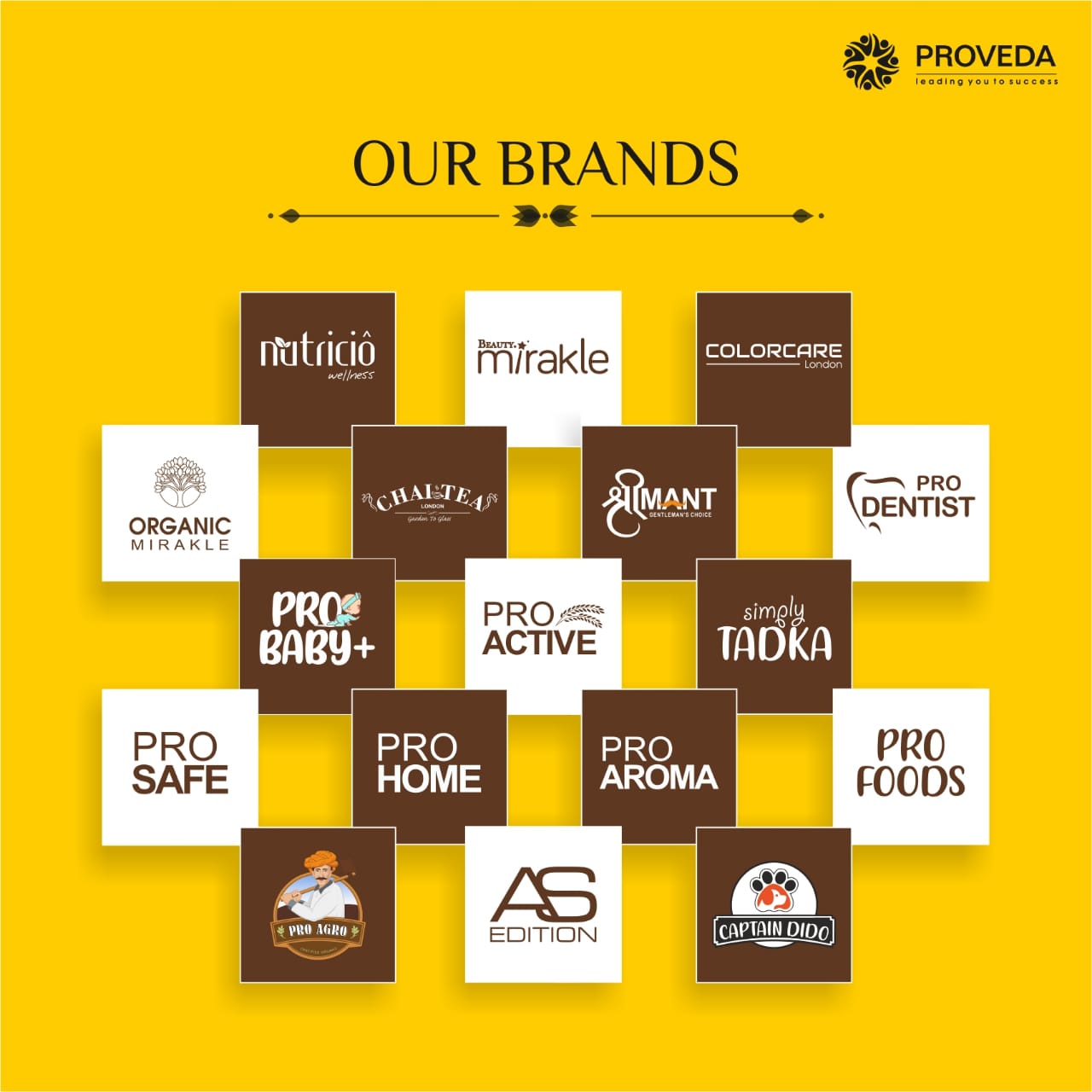 Proveda India - 𝗢𝘂𝗿 𝗕𝗿𝗮𝗻𝗱𝘀 Proveda has 17 different brands under 9 ...