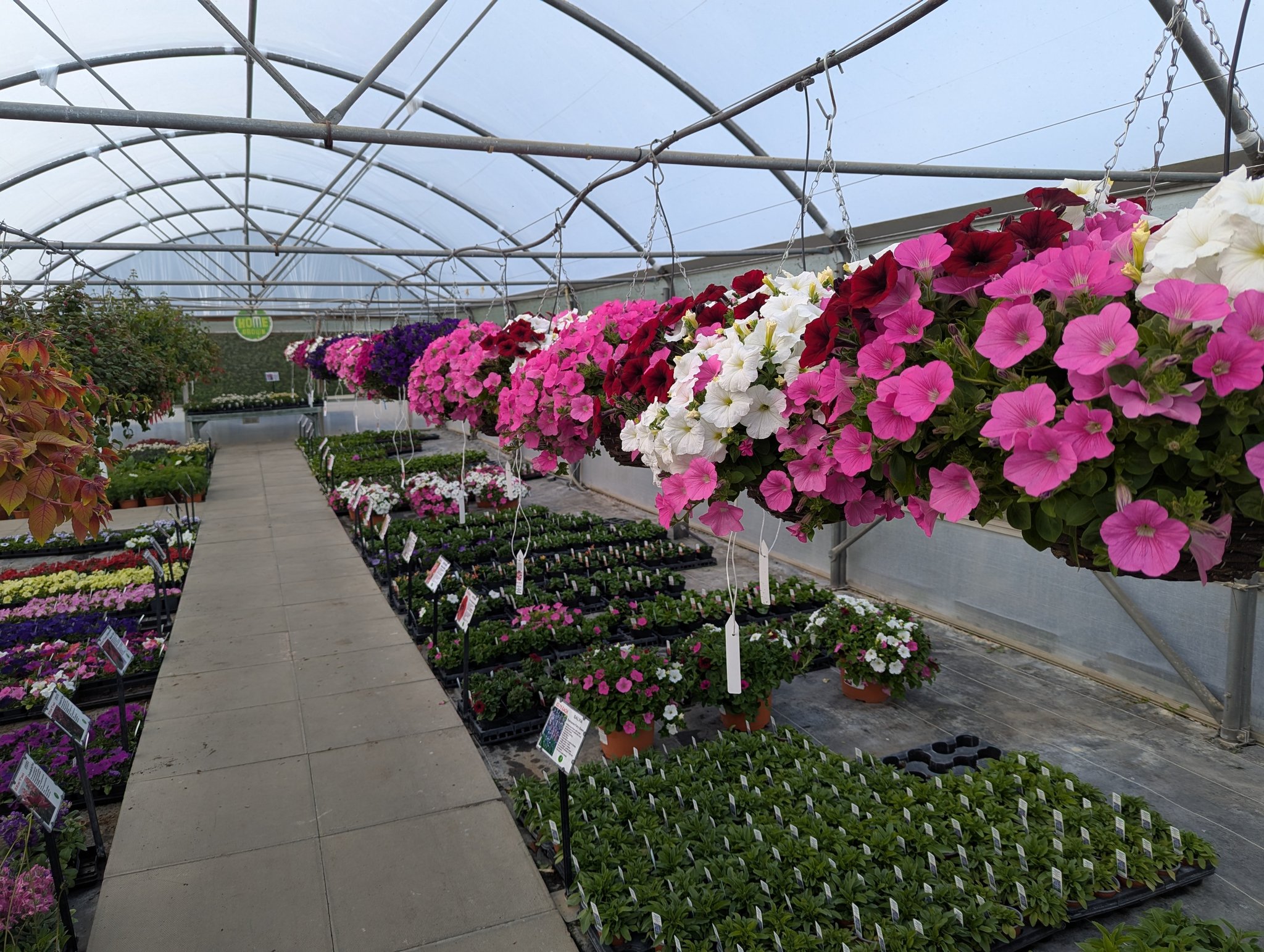 Springwell Nursery | Little Chesterford