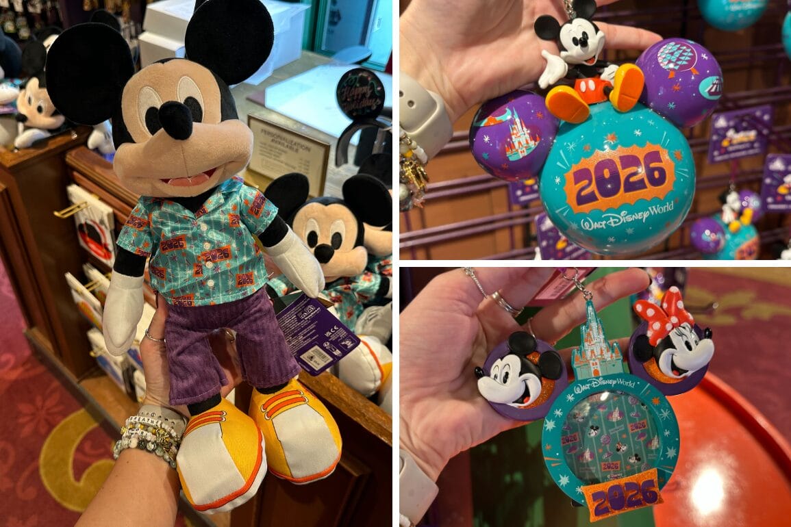 Steiff Mickey & Minnie Mouse 70周年記念 il_fullxfull