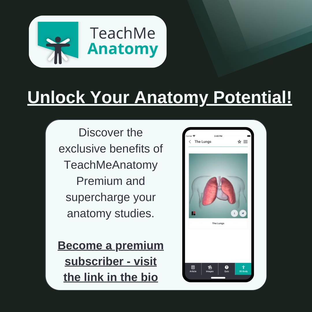 Illustration of Potential Benefits Of Anatomy Materials