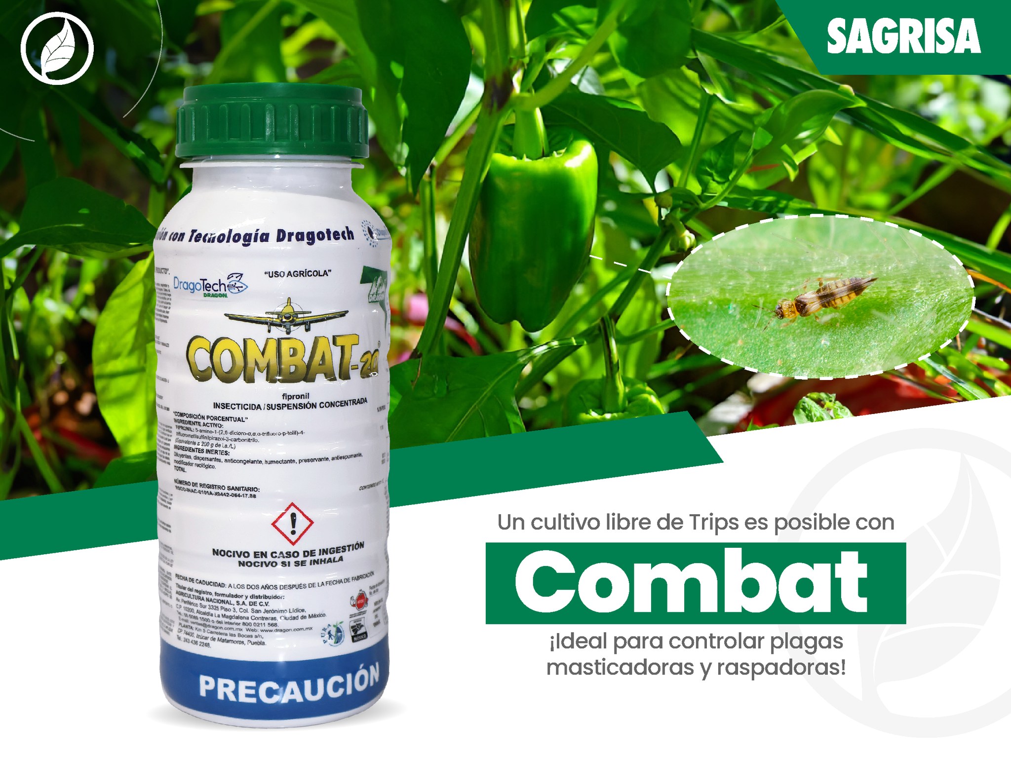 Sagrisa - ¡No permitas que los trips dañen tu cultivo de chile dulce🐛🫑 ...