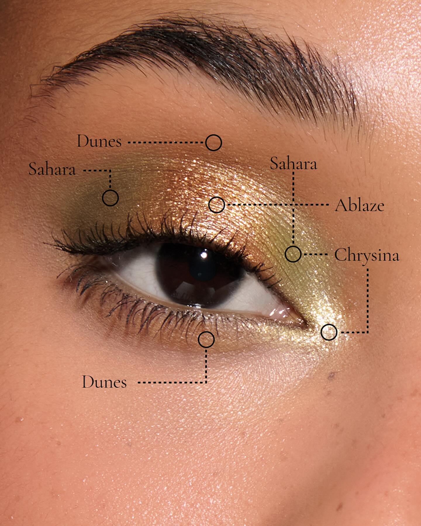 All eyes on Desert Gleam… 👀 #desert #eyes #eyeshadow #makeup