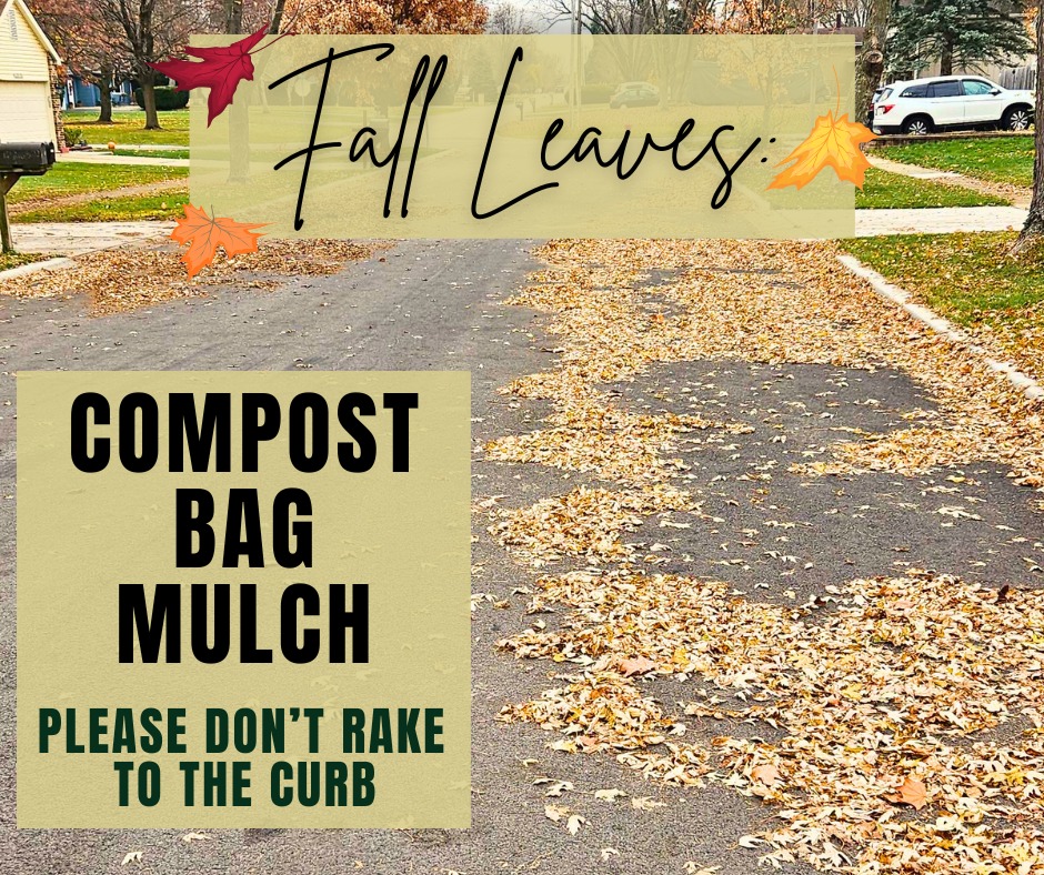 City - Take Care of Your Leaves the Right Way Fall leaves can be ...